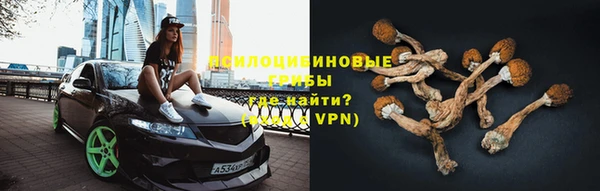 ГАЛЛЮЦИНОГЕННЫЕ ГРИБЫ Корсаков