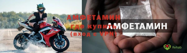 ГАЛЛЮЦИНОГЕННЫЕ ГРИБЫ Корсаков