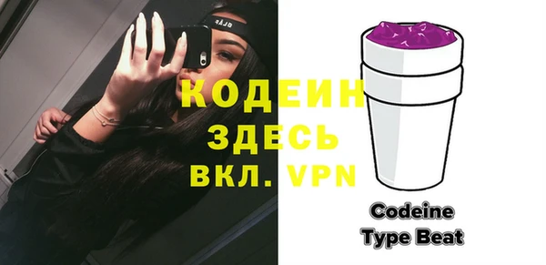 ГАЛЛЮЦИНОГЕННЫЕ ГРИБЫ Корсаков