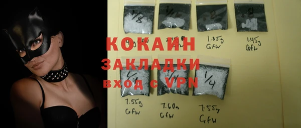 ГАЛЛЮЦИНОГЕННЫЕ ГРИБЫ Корсаков