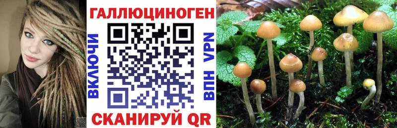 Псилоцибиновые грибы Psilocybine cubensis  хочу наркоту  Каневская 